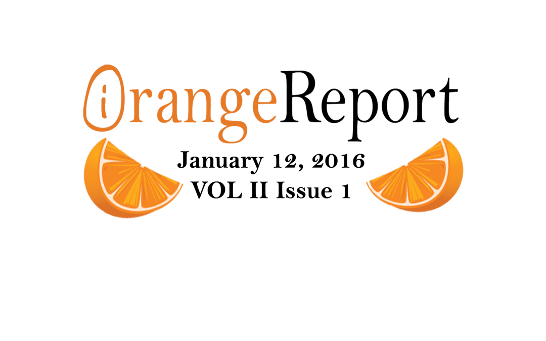 Jan 2016 Orange Report: Magento Extensions