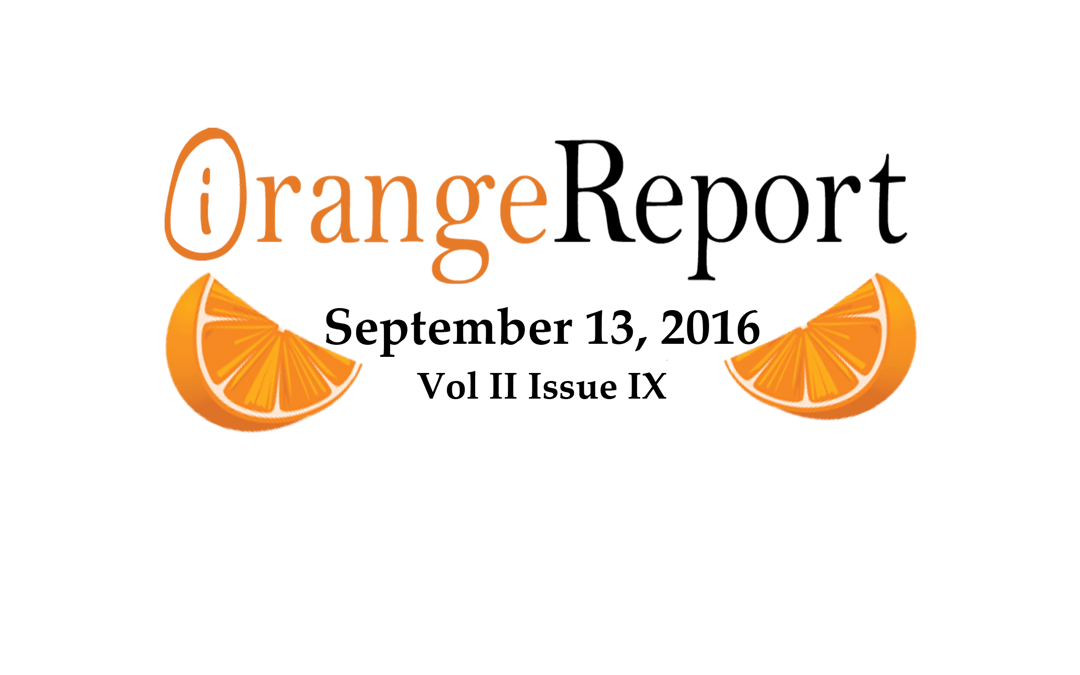 September 2016 Orange Report: Magento News