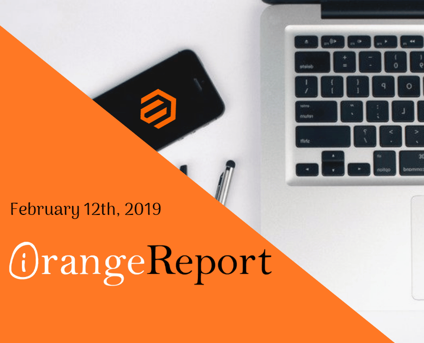 February 2019 Orange Report: eCommerce & Digital Marketing Tips