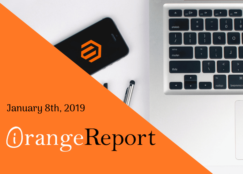 January 2019 Orange Report: eCommerce & Digital Marketing Tips